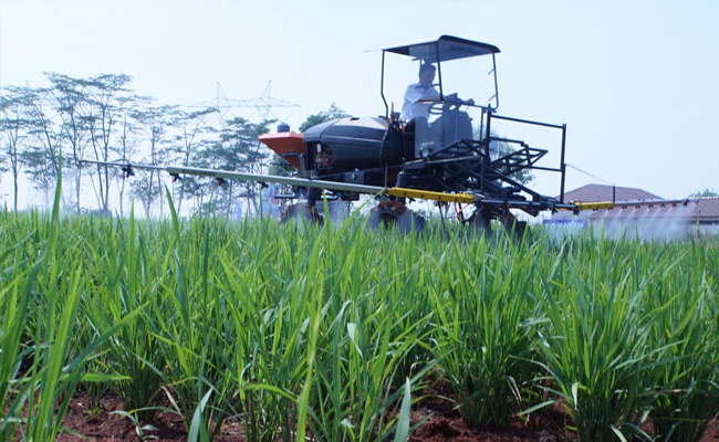 Dorong Generasi Milenial Sukai Sektor Pertanian
