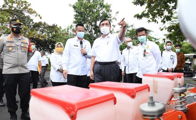 Menko Luhut: Food Estate Kesempatan Emas Wujudkan Modernisasi Pertanian