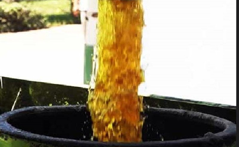 Harga CPO KPBN Inacom Rabu (7/1) Naik, Tembus Rp 14.162 per Kg