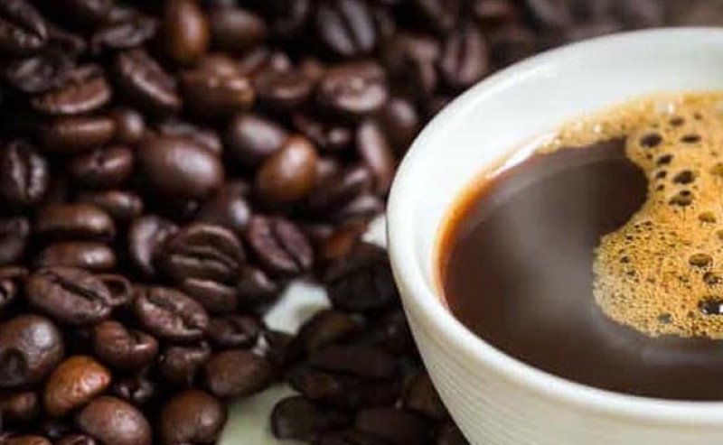 Pemkab Buleleng Dorong Perluasan Kopi Robusta Lemukih Berbasis Komitmen Desa