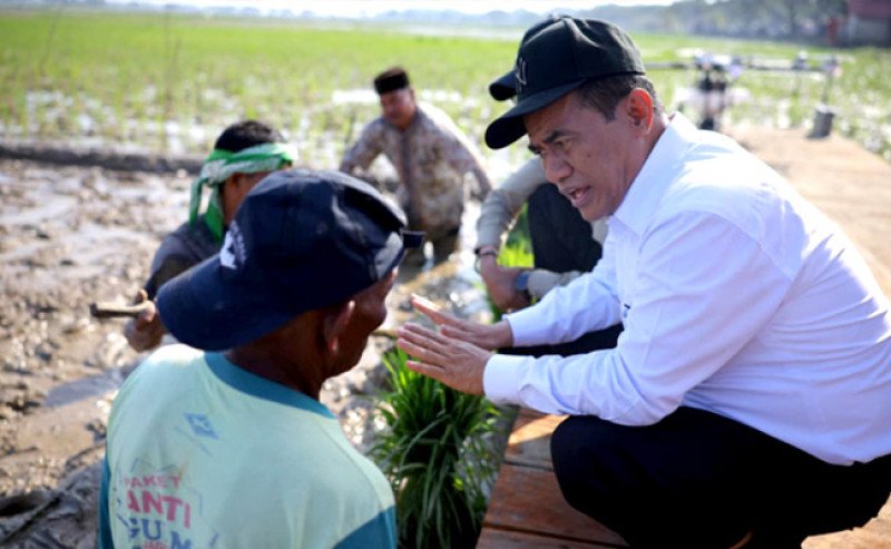 Rehabilitasi Sawah Pascabencana Dimulai, Pemerintah Garap 98 Ribu Hektare Lahan Rusak di Sumatera