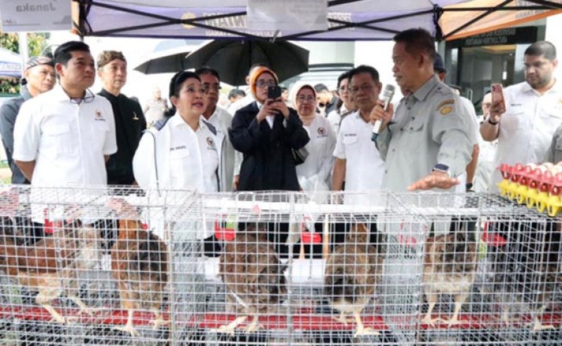 Ketua Komisi IV DPR RI Dorong Inovasi dan Modernisasi Pertanian untuk Swasembada Berkelanjutan