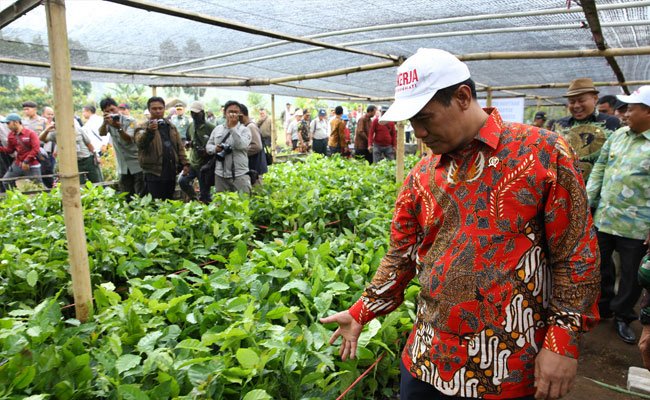 Kebijakan Amran Membangun Logistik Pangan Skala Besar Mulai Terwujud
