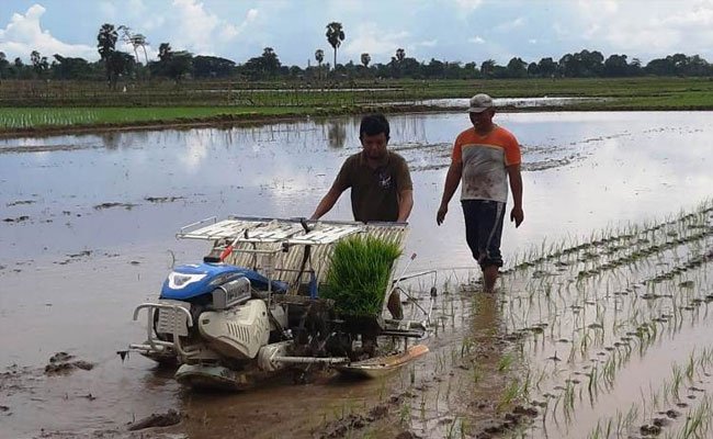 Modernisasi Tingkatkan Produktivitas Tenaga Kerja Sektor Pertanian