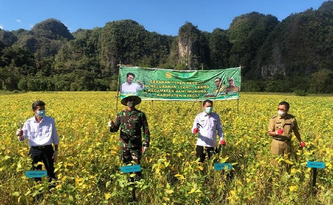 Bupati Maros : Perlu Varietas Unggul Baru Untuk Kedelai