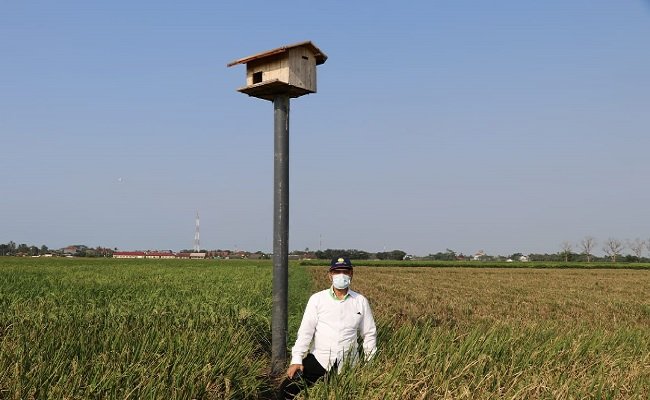 The Increasing Exports, Observer: The Agriculture Should be Seriously Noticed