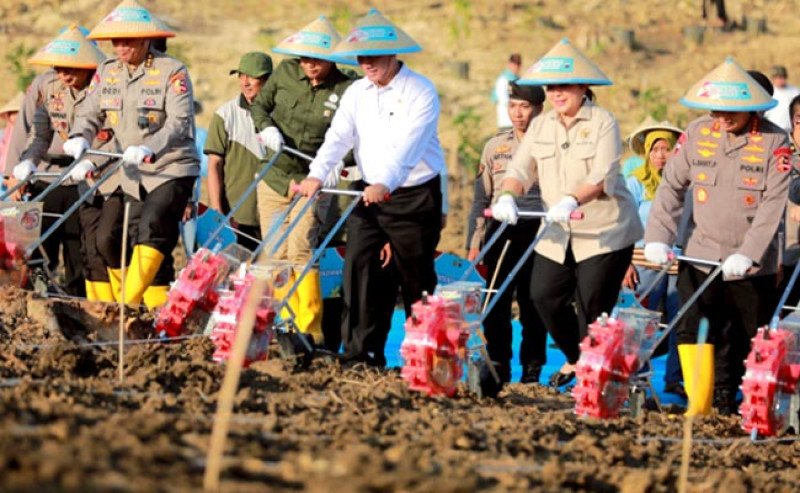 Mentan Amran dan POLRI Tanam Jagung di Grobogan, Dorong Swasembada Pangan Lewat Sinergi Lintas Lembaga
