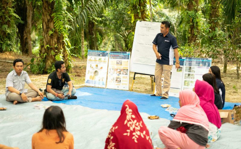 Musim Mas, Nestlé, dan AAK Lanjutkan Kolaborasi Strategis Dukung Pekebun Swadaya Tangani Isu Lingkungan, Sosial dan Ekonomi