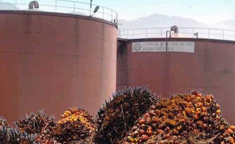 MPOB: Stok Minyak Sawit Naik 4,78%, Produksi Lampaui Pertumbuhan Ekspor