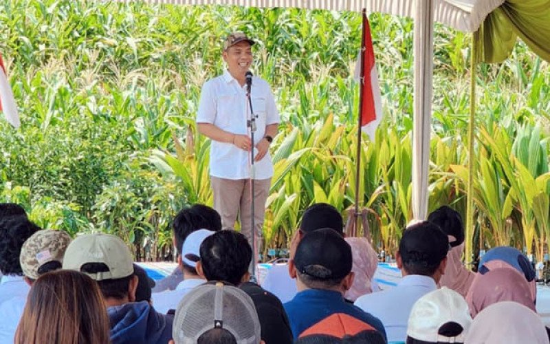 Kementan Luncurkan Program NBS-Agroforestry, Perkuat Perkebunan Berkelanjutan Hadapi Perubahan Iklim