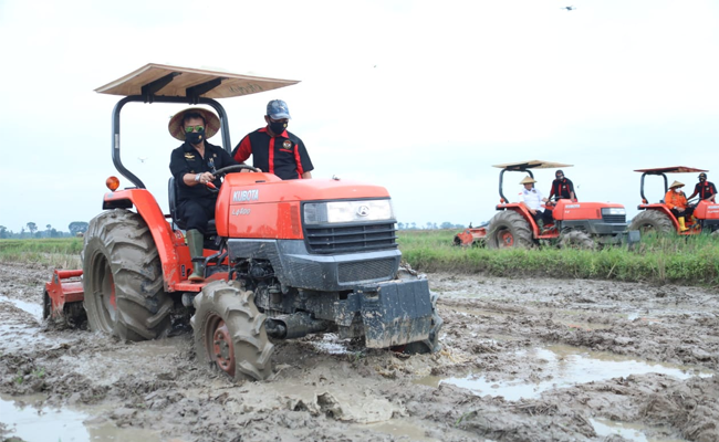 In Central Lampung, SYL Accelerated the Paddy Planting to Multiply the Stock
