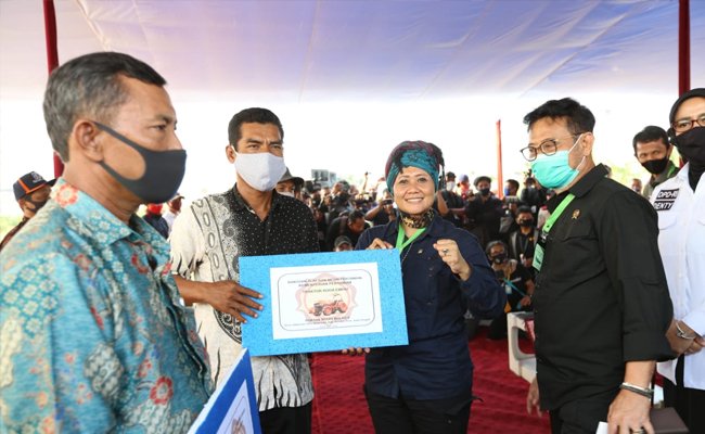 Kunker di Kendal, Mentan Panen Jagung dan Serahkan Bantuan