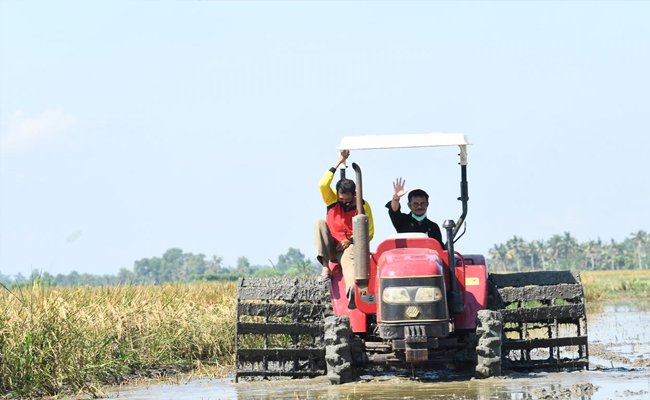 To Accelerate the Exports, Ministry of Agriculture is Committed Develop the Cold Chain of Horticulture Commodity