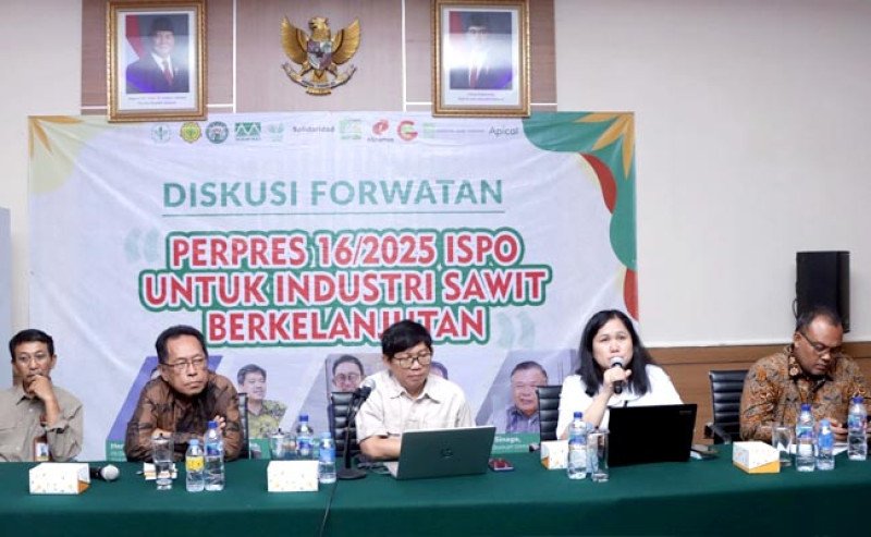 ISPO Diperluas: Pemerintah Tegaskan Standar Sawit Berkelanjutan dari Hulu ke Hilir