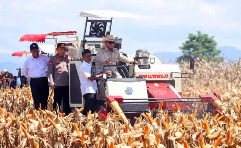 Mentan Amran Dampingi Presiden Prabowo Pimpin Panen Raya Jagung Di Kalbar