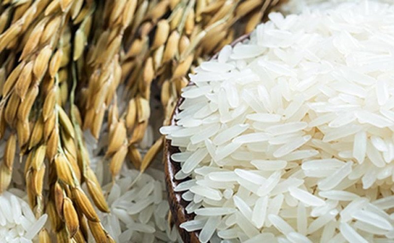 Editorial : Indonesia Maju Sebagai Raksasa Pangan ASEAN: Pemerintah Mendorong BUMN Wujudkan Kemandirian Pangan dan Energi