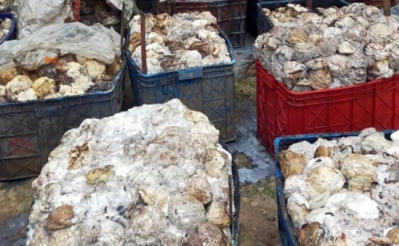 Harga Karet SGX Sicom Senin 23 Juni 2025 Turun Lagi, Tertinggi Rp26.316/kg