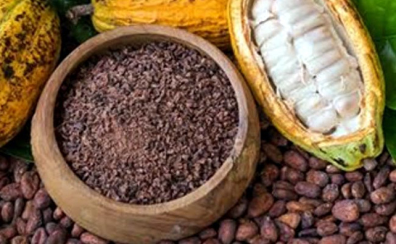 Kementan Perkuat Hilirisasi Kakao, Peluang Ekspor Cocoa Butter ke Australia Semakin Terbuka