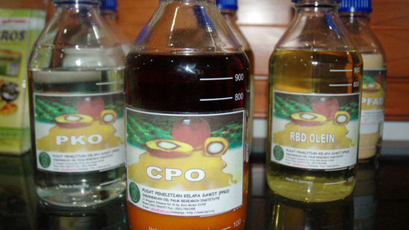 Harga CPO KPBN Turun ke Rp15.350/Kg Pada Kamis (25/6), Bursa Malaysia Melemah Tiga Hari Beruntun