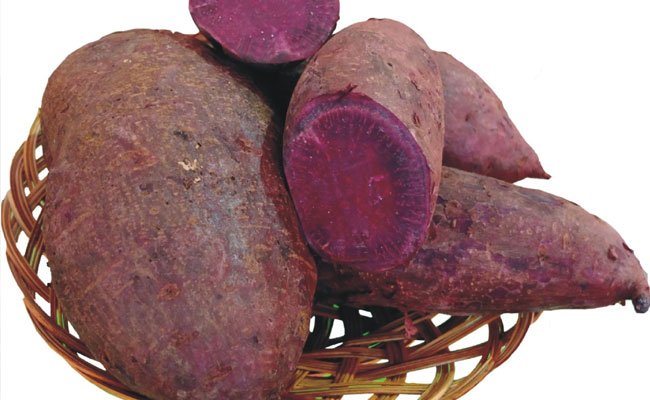 Consume Purple Sweet Potato to Prevent Covid-19