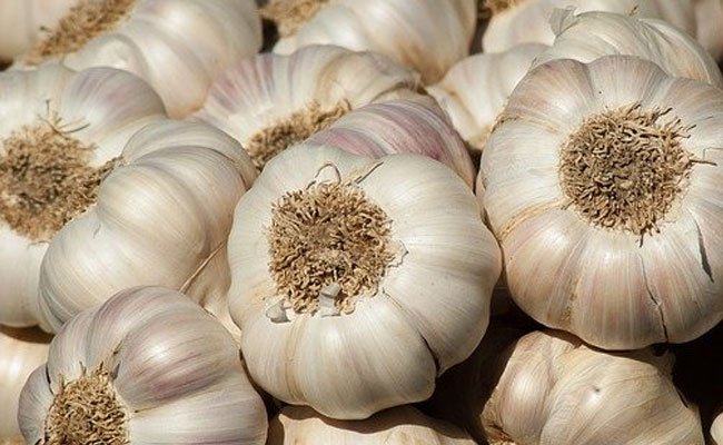 Ministry of Trade Does Not Run Garlic Import Licenses for a while