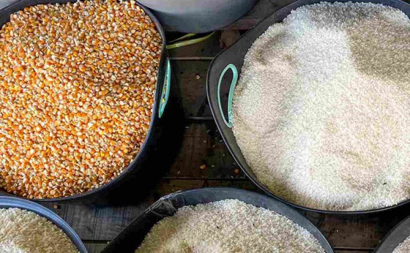 Editorial: Menuju Swasembada Pangan Era Presiden Prabowo