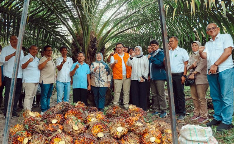 Dwi Sutoro: Kemitraan Inti-Plasma, Kunci Keberhasilan Petani Sawit