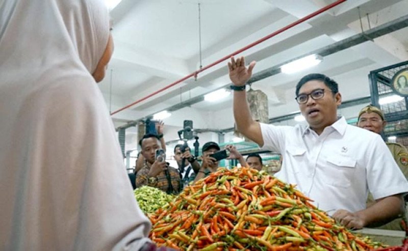 Wamentan Sudaryono Dorong Pemda Aktif Sidak Pasar untuk Stabilkan Harga dan Stok Sembako