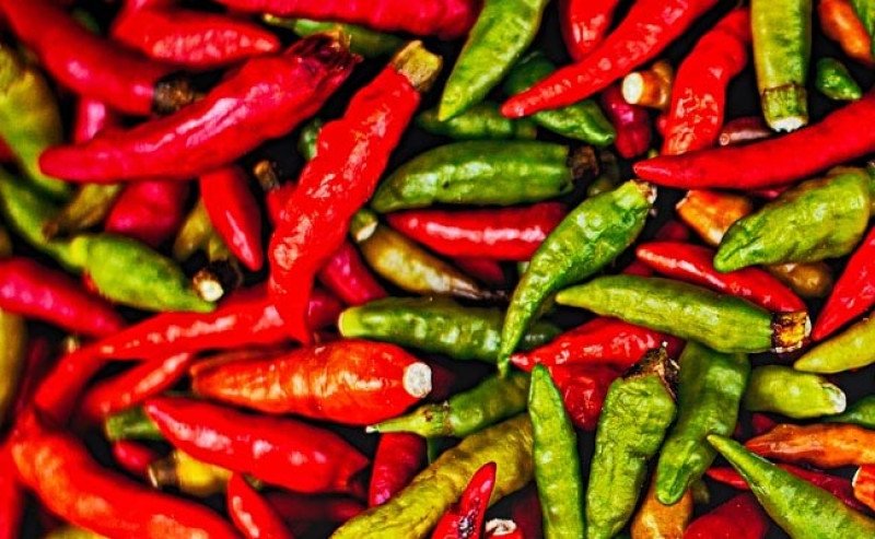 Kementan Stabilkan Harga Cabai di Lombok, Dijual Rp80.000 per Kilogram