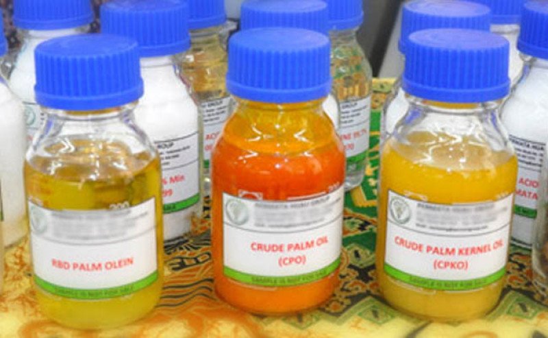 Harga CPO di Inacom Naik Tipis Pada Rabu 19 Maret 2025, Tertinggi Rp 15.050 per Kg