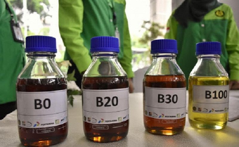 HIP Biodiesel Periode Maret 2025 Ditetapkan Rp 13.929 per Liter