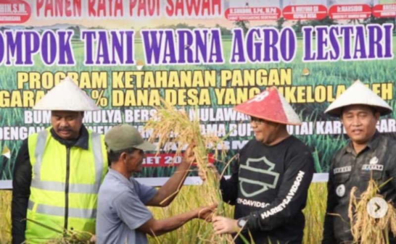 Panen Raya Maret 2026, Kementan Pastikan Stok Beras Nasional Aman dan Harga Tetap Stabil