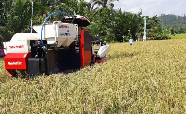 Gubernur Riau: Pertanian tidak boleh berhenti, Gerakan Tanam di Daerah Sendiri