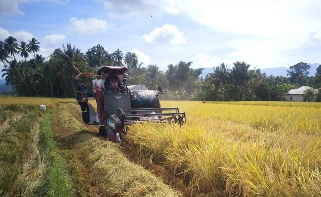 Prof. Tjipta Convinced that Ministry of Agriculture Could Managed the Food Production Well