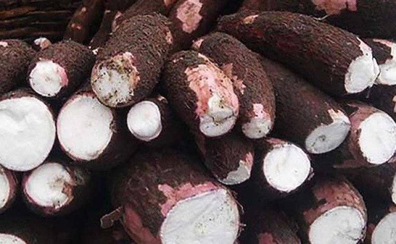 Kemendag Siap Bahas Usulan Pembatasan Impor Singkong dan Tapioka dalam Rapat Koordinasi Ekonomi