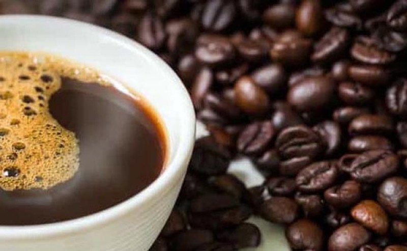Kopi Papua Catat Transaksi Rp1,6 Miliar di World of Coffee Jakarta 2025