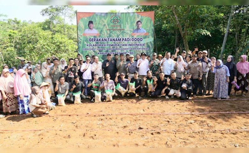 Cadangan Beras Aman, Kementan Lanjutkan Program Tanam Padi Gogo di Pandeglang