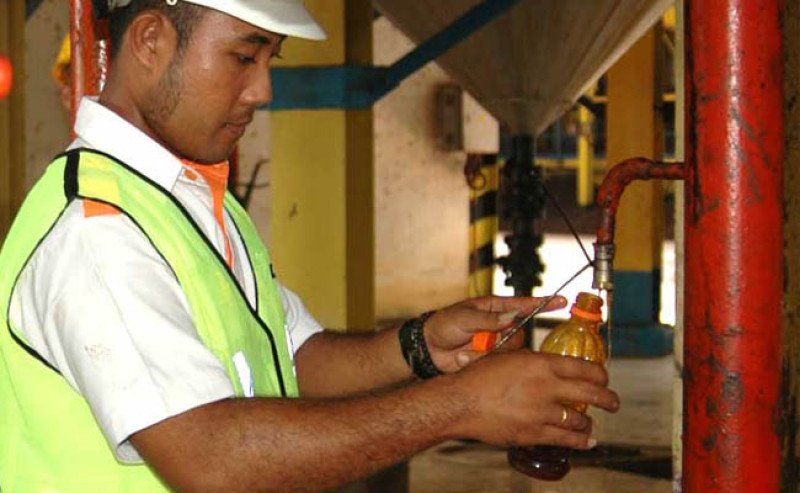 Harga CPO KPBN Senin (4/5) Stabil di Rp 15.400/Kg, Didukung Sentimen Positif Global