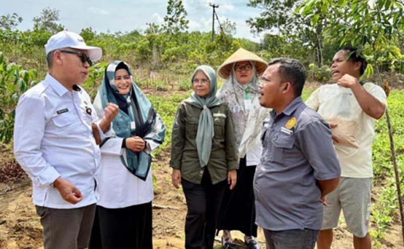Kementan Optimalkan Peran BRMP di 38 Provinsi untuk Kawal Program dan Bantuan Pertanian
