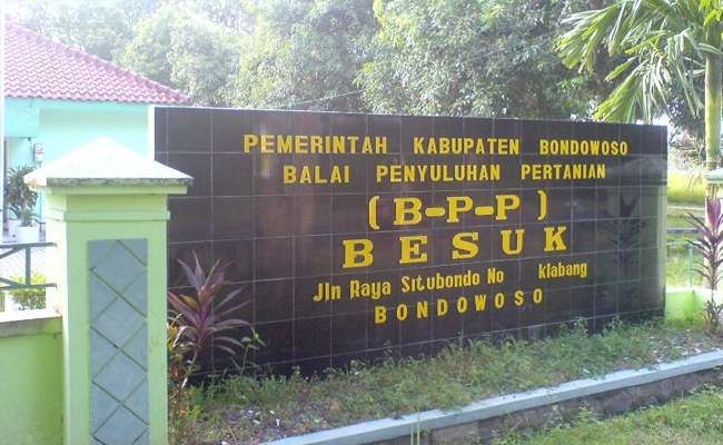 Dukungan untuk Revitalisasi Peran BPP di Kecamatan