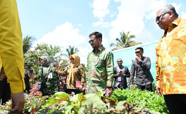 Ini Skema Kementan dalam Efisiensi Usahatani