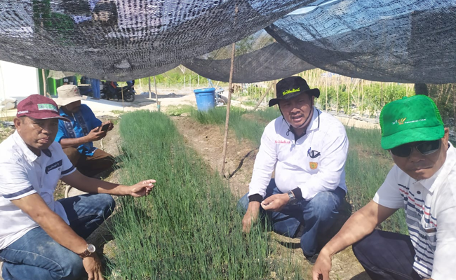Kementan-Sultra Kerja Sama Jadikan Konsel Lumbung Komoditi Hortikultura