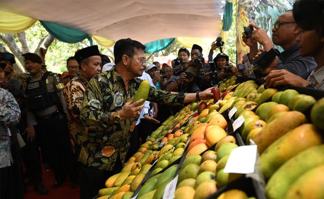 Mentan SYL Beri Nama Varietas Anggur Baru Jan Ethes SP1