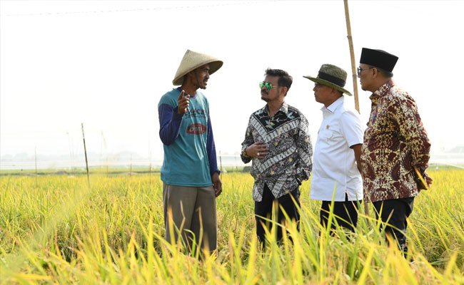 Mentan SYL Panen Padi  di Karawang Bersama Moeldoko