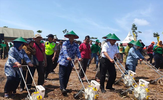 Musim Hujan Tiba, Kementan Lakukan Gerakan Tanam Jagung di Tulungagung