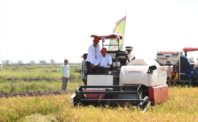 Teknologi Sulap Lahan Rawa di Kalsel Jadi Sumber Pangan