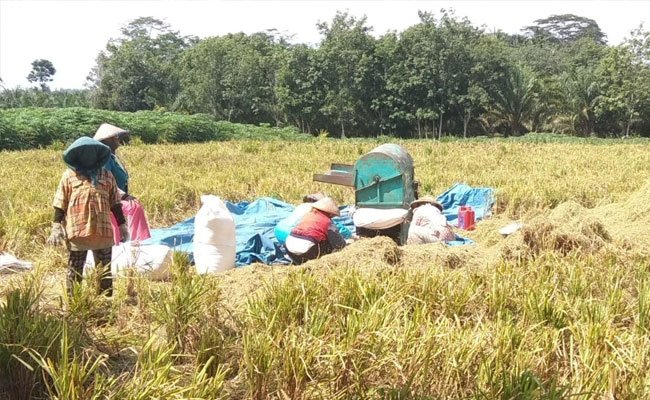 Academy: The Agriculture Still Develops in the Fourth Quarter