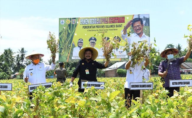From Polman, West Sulawesi, SYL Boosted Soybean Production in Partnership