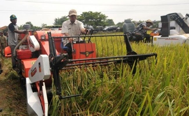 Indef Appreciated the Agriculture Developing in the Third Quarter