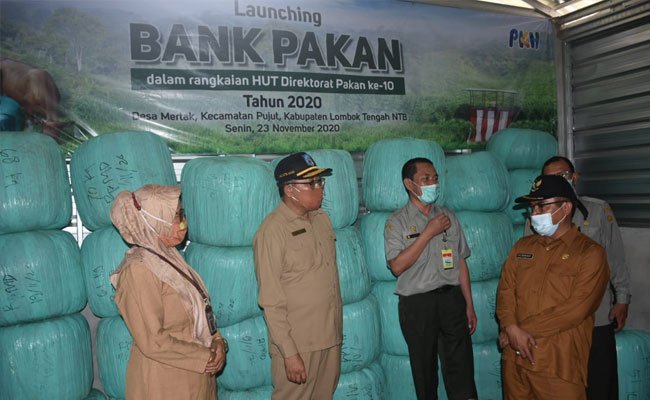 Kementan Luncurkan Bank Pakan Dukung Swasembada Protein Hewani